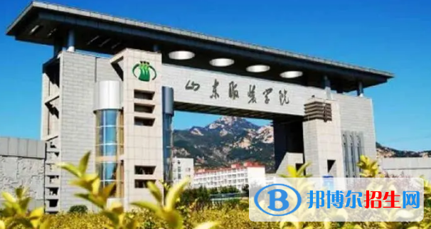 泰安所有的專科學(xué)校有哪些?(附學(xué)校名單)
