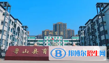 魯山縣育英高級(jí)中學(xué)2022錄取分?jǐn)?shù)線（2023參考）