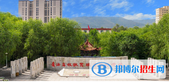 青海單招智慧健康養(yǎng)老服務(wù)與管理專業(yè)2023年有哪些學(xué)校