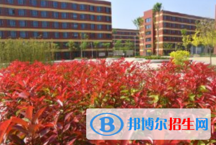 河北2023年哪個(gè)電子商務(wù)學(xué)校好