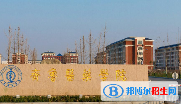 齊魯醫(yī)藥學(xué)院是不是雙一流大學(xué)嗎？