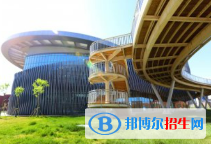 河北2023年哪個電子商務學校學技術好