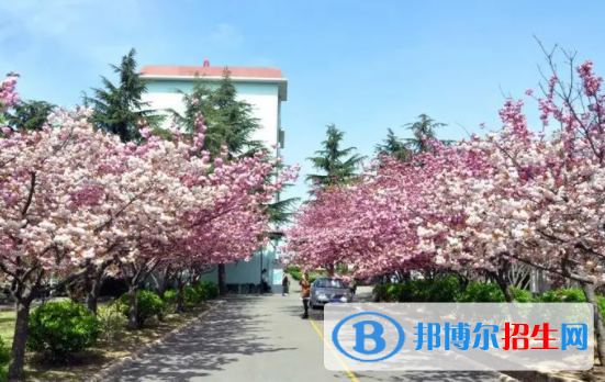 青島濱海學(xué)院是不是雙一流大學(xué)嗎？