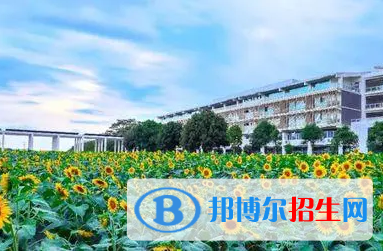 廣西單招跨境電子商務(wù)專業(yè)2023年有哪些學校