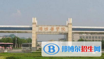 濰坊醫(yī)學院是不是雙一流大學？