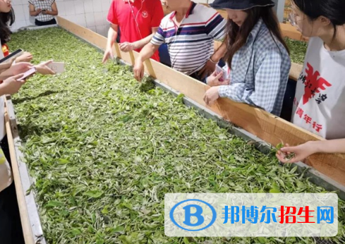 農業(yè)生物技術專業(yè)好嗎?(農業(yè)生物技術專業(yè))
