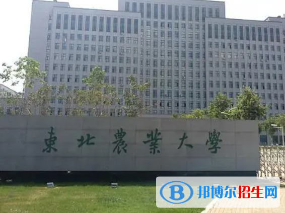 黑龍江農(nóng)林類大學(xué)有哪些？(附名單)