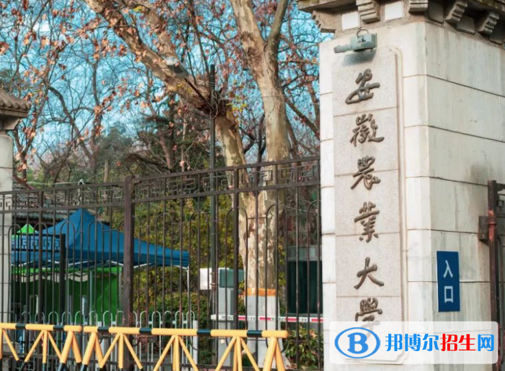 安徽農(nóng)林類大學(xué)有哪些？(附名單)