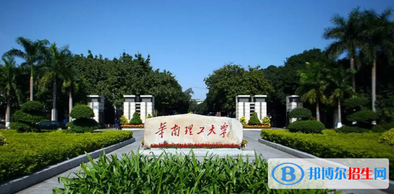 山東高考595分左右可以報(bào)考什么學(xué)校（2023報(bào)考參考）