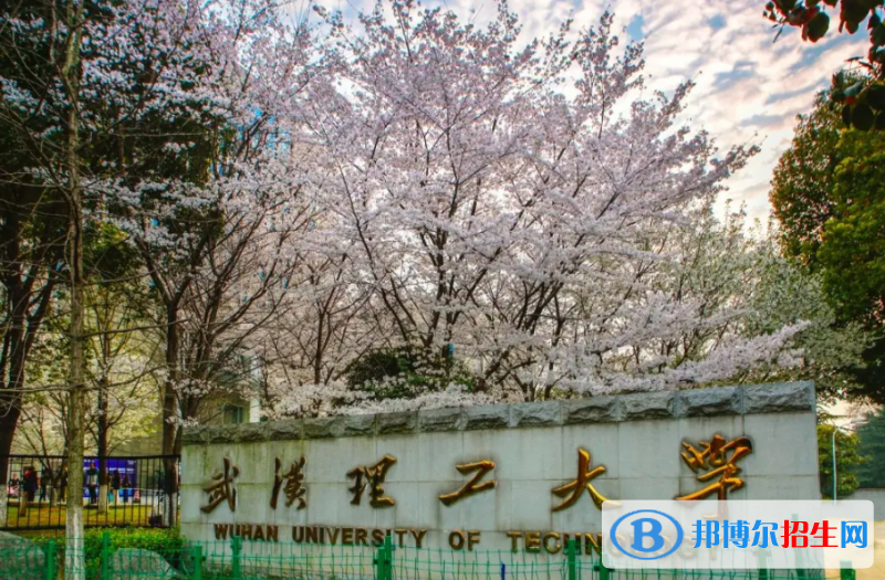 山東高考575分左右可以報考什么學校（2023報考參考）