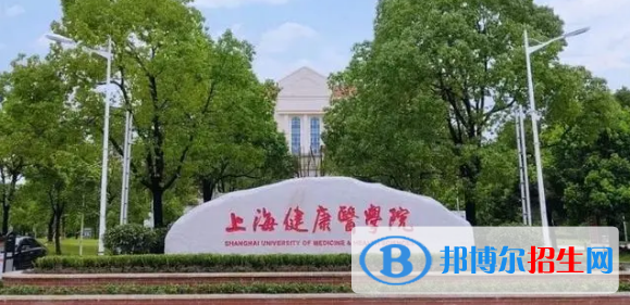 上海健康醫(yī)學院有哪些中外合作辦學專業(yè)?(附名單)