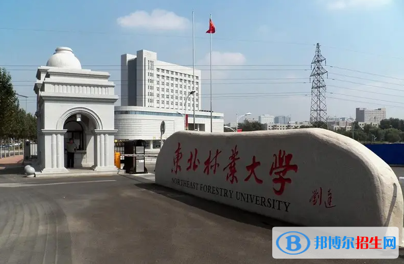 海南高考590分左右可以報考什么學校（2023報考參考）