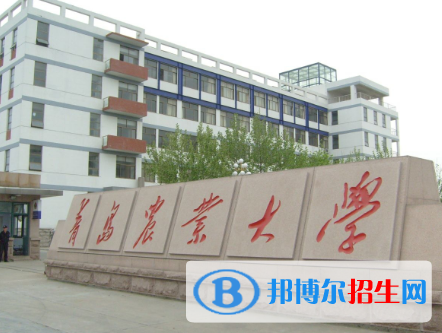 山東有哪些大學(xué)是二本？山東二本大學(xué)排名2022最新排名列表(47所)