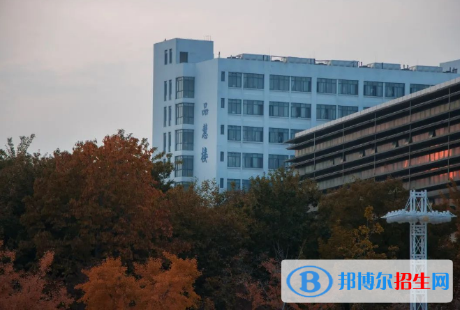 山東省大學(xué)排名2022最新排名：軟科、校友會最新版完整排名一覽