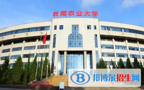 云南農(nóng)業(yè)大學(xué)是不是985大學(xué)?