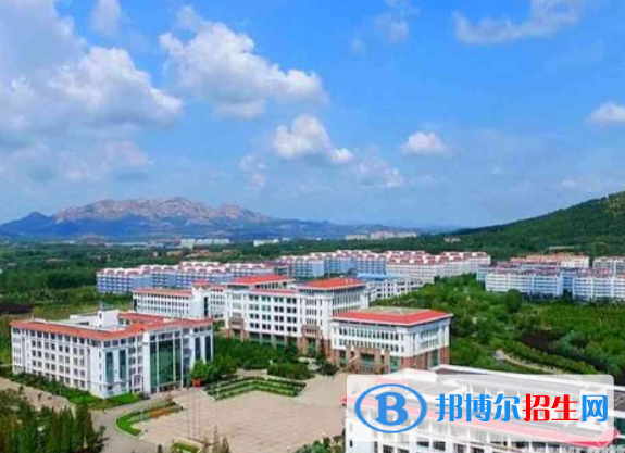 山東外國語職業(yè)技術(shù)大學是不是雙一流大學？