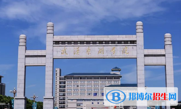 武漢學院是不是雙一流大學？