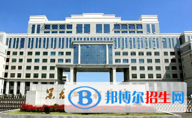 黑龍江工程學院是不是雙一流大學？