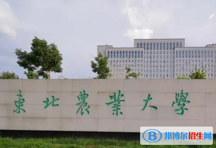 東北農(nóng)業(yè)大學(xué)是不是985大學(xué)？
