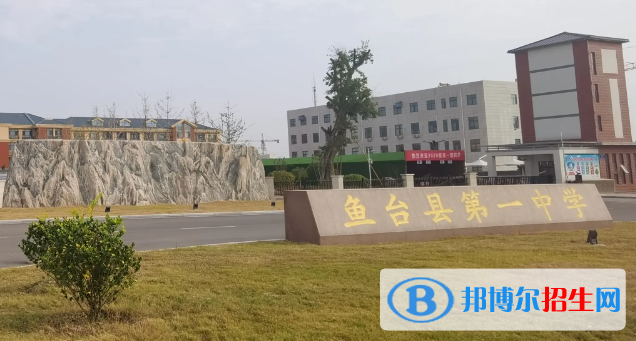 魚臺中考2022錄取分數(shù)線