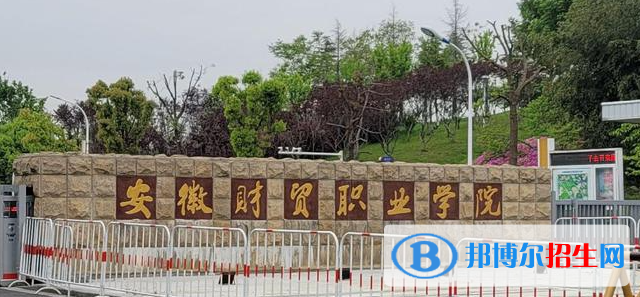 安徽財貿(mào)職業(yè)學院有哪些中外合作辦學專業(yè)？（附名單）
