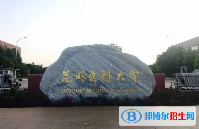 昆明醫(yī)科大學(xué)有哪些中外合作辦學(xué)專業(yè)？（附名單）