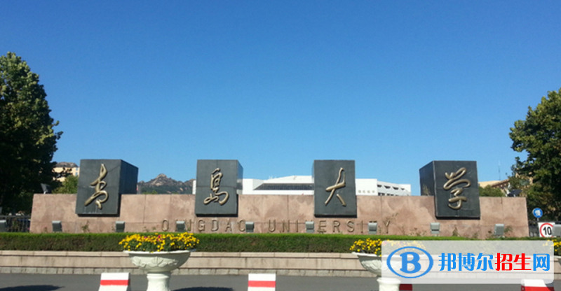 青島大學(xué)有哪些中外合作辦學(xué)專(zhuān)業(yè)？（附名單）