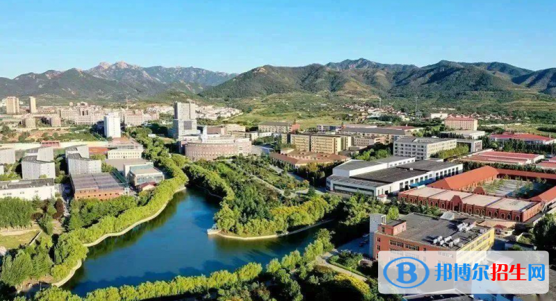 青島城市學(xué)院有哪些中外合作辦學(xué)專業(yè)？（附名單）