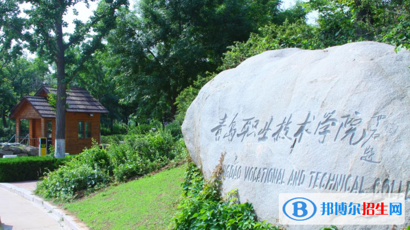 青島職業(yè)技術(shù)學院有哪些中外合作辦學專業(yè)？（附名單）