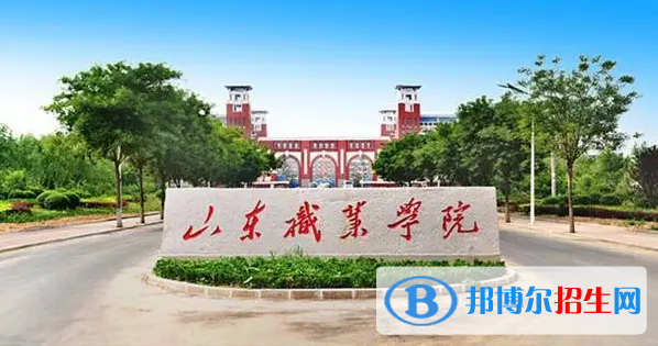 山東職業(yè)學(xué)院有哪些中外合作辦學(xué)專業(yè)？（附名單）