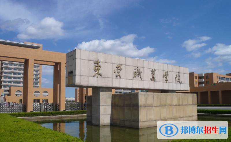 東營(yíng)職業(yè)學(xué)院有哪些中外合作辦學(xué)專業(yè)？（附名單）