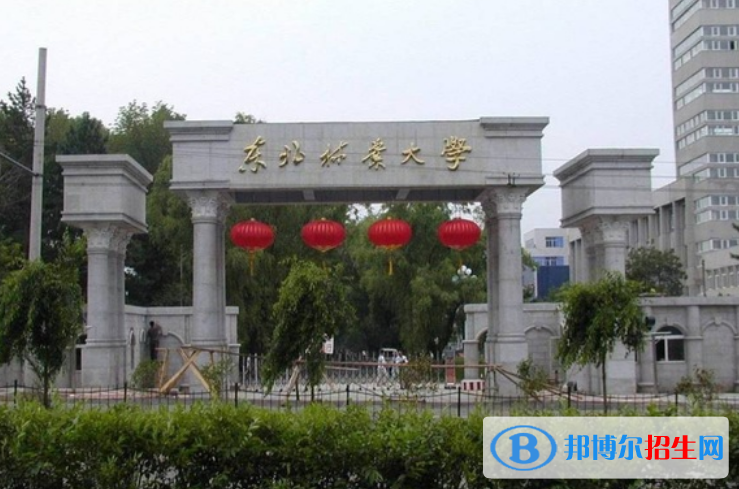 東北林業(yè)大學是不是雙一流大學？ 