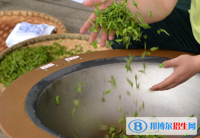 貴州省茶技術茶文化學校2023年招生辦聯(lián)系電話