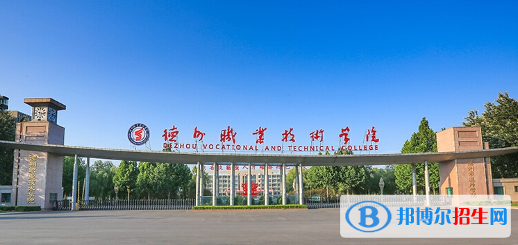 德州職業(yè)技術(shù)學院有哪些中外合作辦學專業(yè)？（附名單）