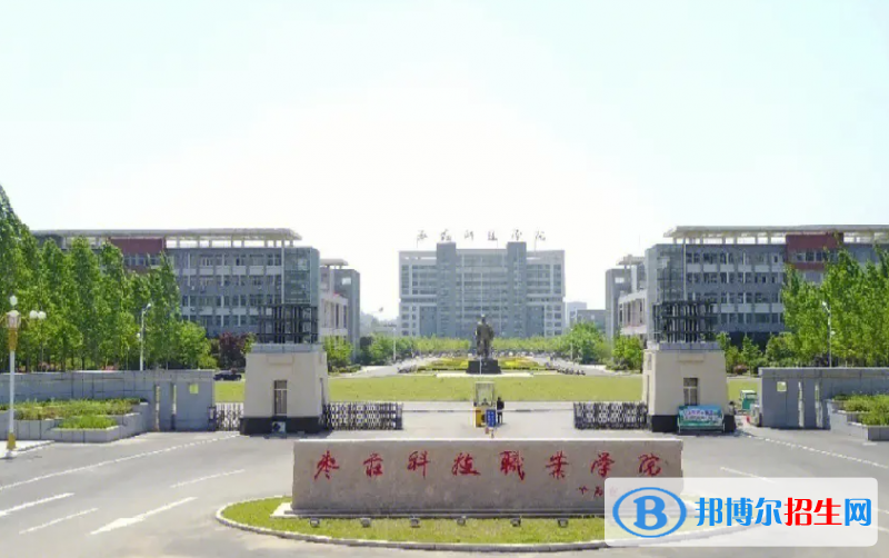 棗莊科技職業(yè)學(xué)院有哪些中外合作辦學(xué)專業(yè)？（附名單）