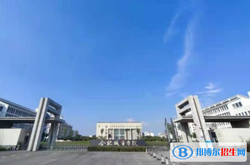 合肥城市學院是不是雙一流大學？