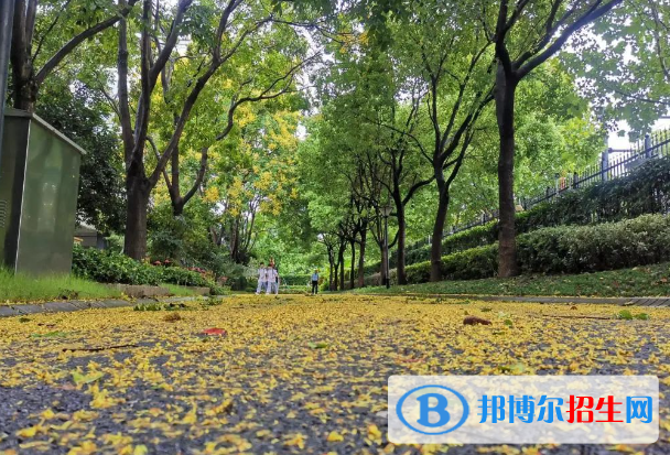 杭州市電子信息職業(yè)學(xué)校2023年報(bào)名條件、招生要求、招生對象