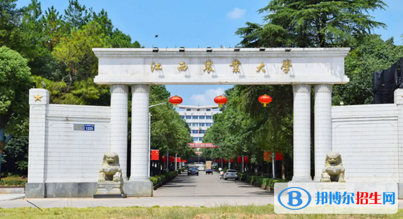 湖北高考2022年位次50000左右適合報(bào)考什么學(xué)校（2023參考）