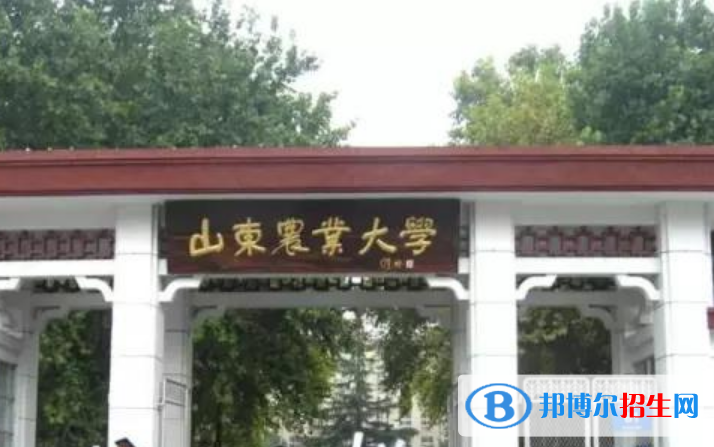 泰安市好的大學(xué)有哪些？（泰安市高校2023最新排名）