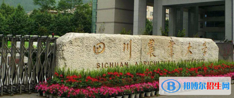 四川綜合實(shí)力最強(qiáng)的十大高校