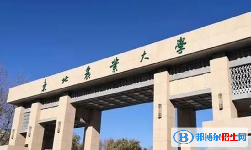 東北農(nóng)業(yè)大學(xué)是幾本？是985和211嗎？