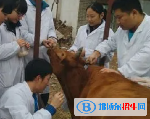 資中縣職業(yè)技術(shù)學(xué)校2023年有哪些專業(yè)