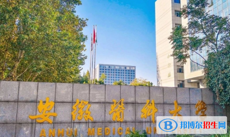 安徽醫(yī)科大學是幾本？是985和211嗎？