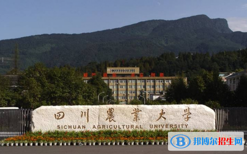 四川農(nóng)業(yè)大學是幾本？是985和211嗎？