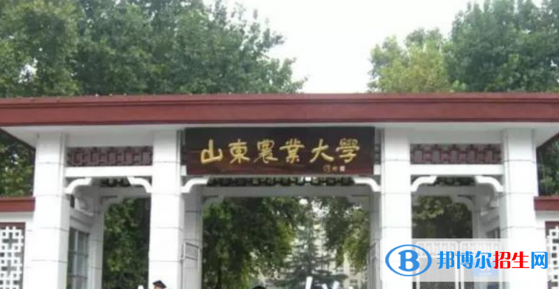 山東農(nóng)業(yè)大學(xué)是幾本？是985和211嗎？