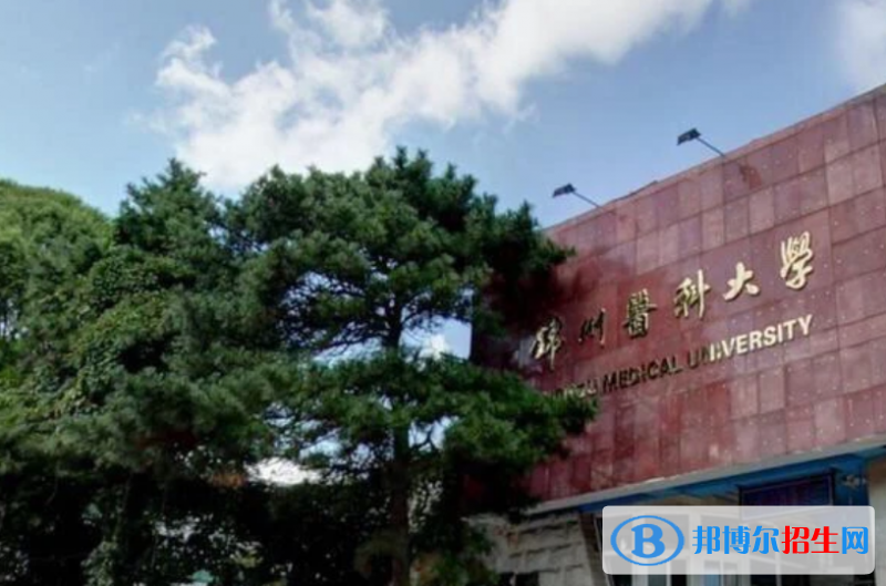 錦州醫(yī)科大學(xué)是幾本？是985和211嗎？