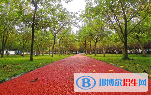 2023年四川國盛技工學(xué)校醫(yī)護(hù)救援部招生計(jì)劃