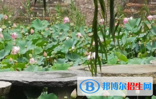 2023年無極野風(fēng)美術(shù)職業(yè)中學(xué)報名條件、招生要求、招生對象