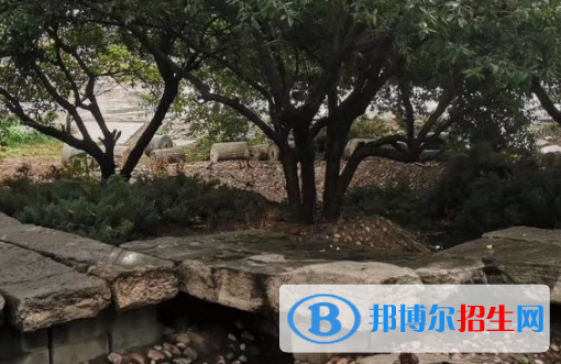 2023年無極野風(fēng)美術(shù)職業(yè)中學(xué)地址在哪里