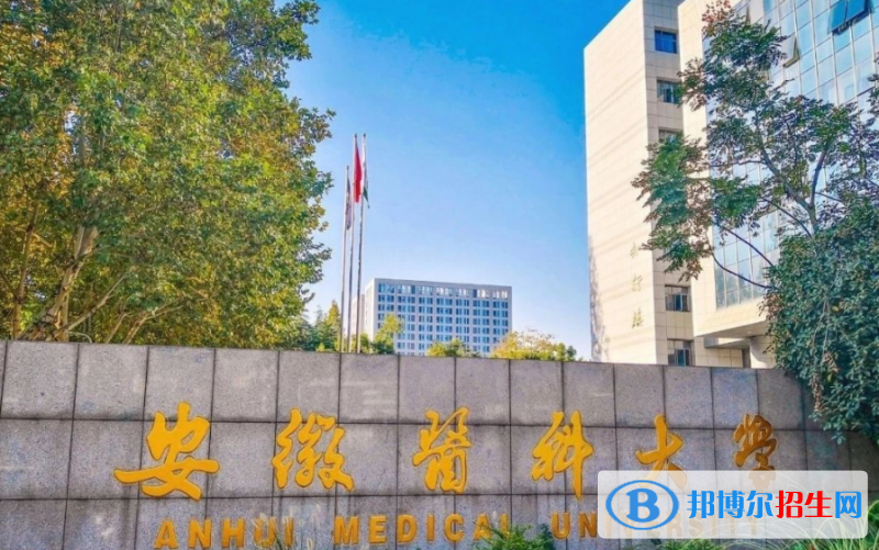 安徽醫(yī)科大學排名全國第幾位